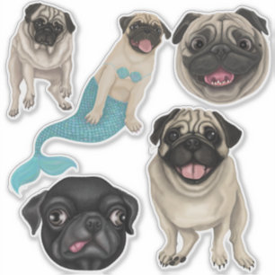 Pugs Klistermärken