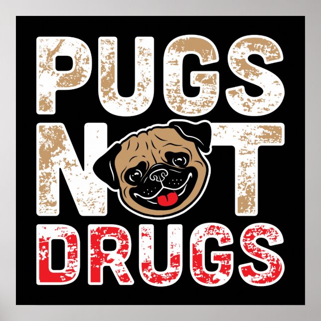 Pugs Not drugs - Cute, FUNNY, Novelty Hund Tecknad Poster (Framsidan)