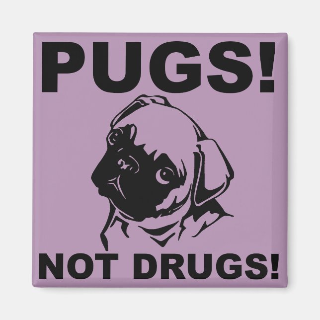 Pugs Not Drugs Funny Fridge Magnet-kylare Magnet (Framsidan)