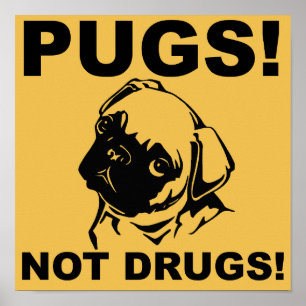 Pugs Not Druny Poster Sign Ord