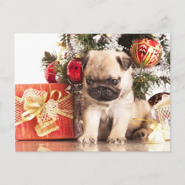 Pugs- och julklappar helg vykort (Framsida)