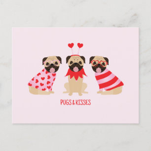 Pugs och Kisses Cute Pug Hundar Vykort