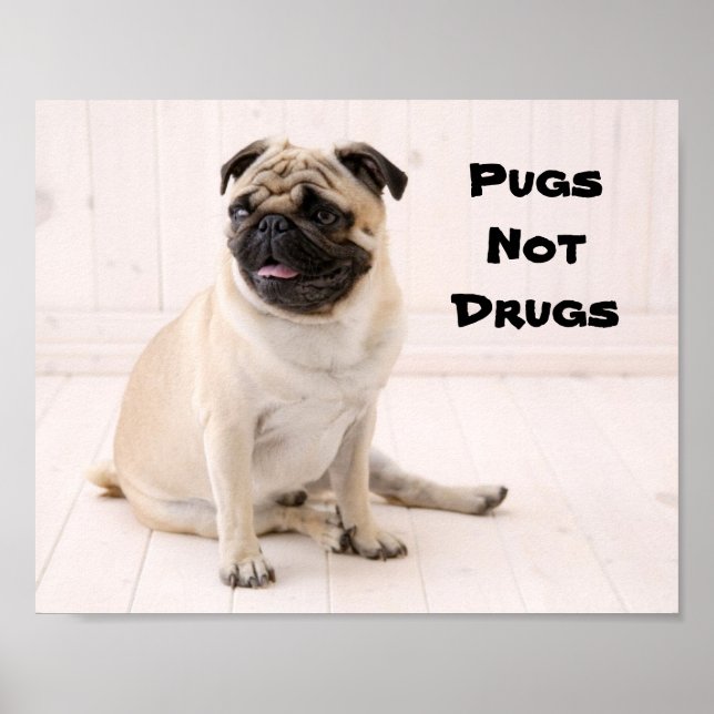 Pugs Poster ej (Framsidan)