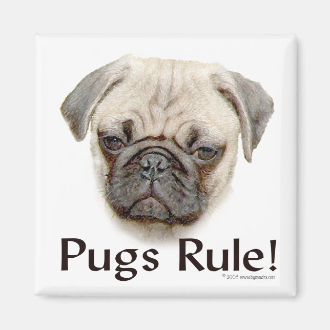 Pugs-regel Magnet (Framsidan)