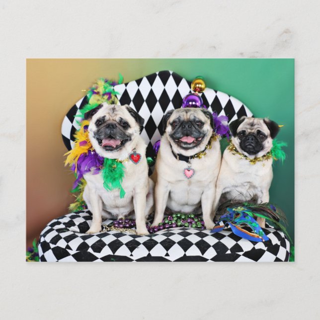 Pugsgiving Mardi Gras 2015 - Hambone Coco Olivia - Vykort (Framsida)