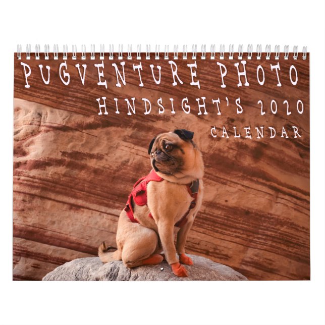 Pugventure Photo Hindsight's 2020 Calendar (Mediu) Kalender (Omslag)