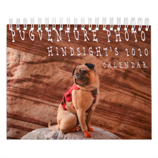 Pugventure Photo Hindsight's 2020 Calendar (Small) Kalender