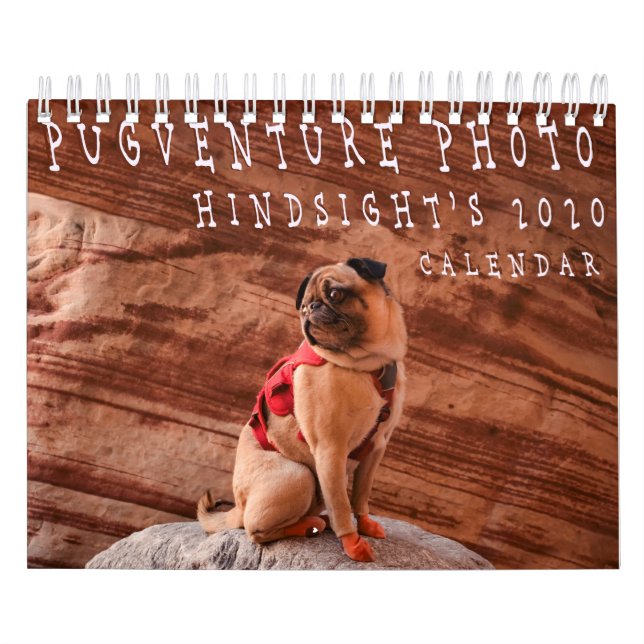 Pugventure Photo Hindsight's 2020 Calendar (Small) Kalender (Omslag)