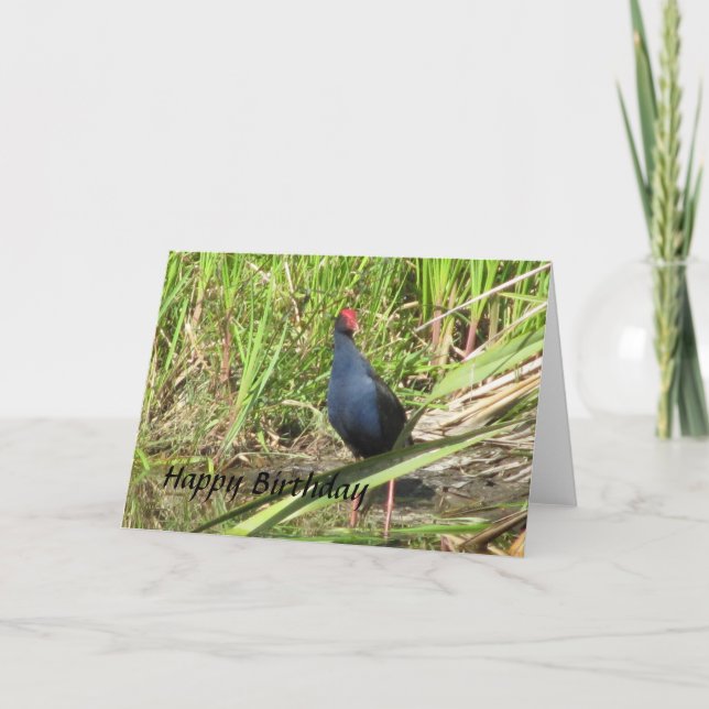 Pukeko Birthday Card Kort (Framsida)