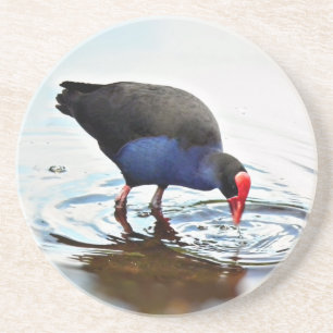 Pukeko kustfartyg underlägg