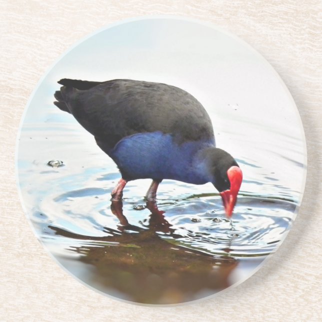 Pukeko kustfartyg underlägg (Framsidan)
