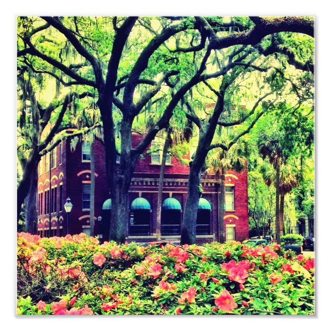 Pulaski Square, Savannah Fototryck (Framsidan)