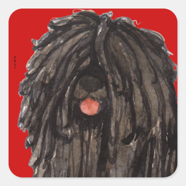 Puli Färg Block Fyrkantigt Klistermärke (Framsida)