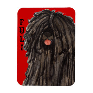 Puli Färg Block Magnet