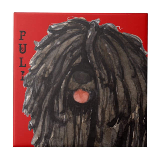 Puli färgkvarter kakelplatta (Framsidan)