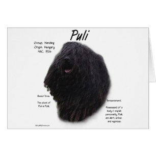 Puli-historikdesign Hälsningskort