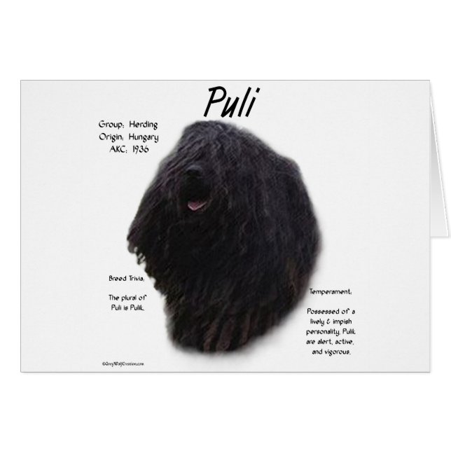 Puli-historikdesign Hälsningskort (Framsidan Horizontal)