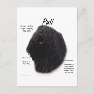 Puli-historikdesign Vykort