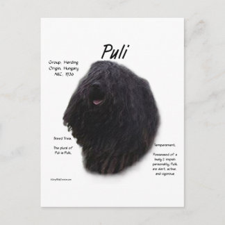 Puli-historikdesign Vykort