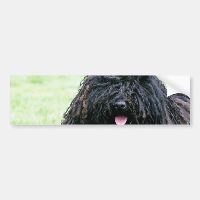 Puli hundbildekal bildekal (Framsidan)