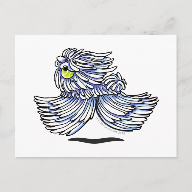 Puli Komondor Vykort (Framsida)