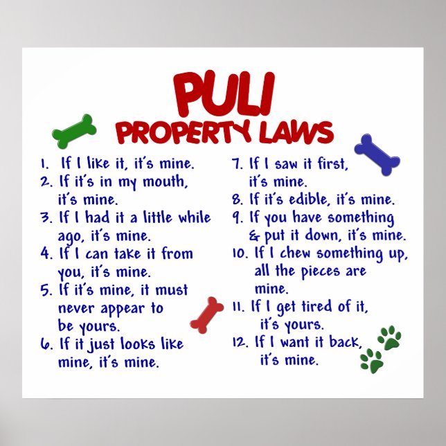 PULI PL2 POSTER (Framsidan)