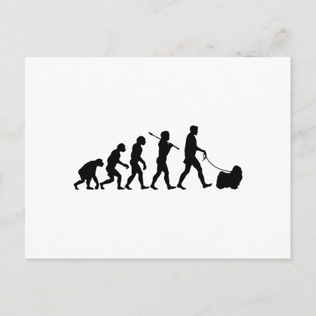 Puli Vykort (Framsida)