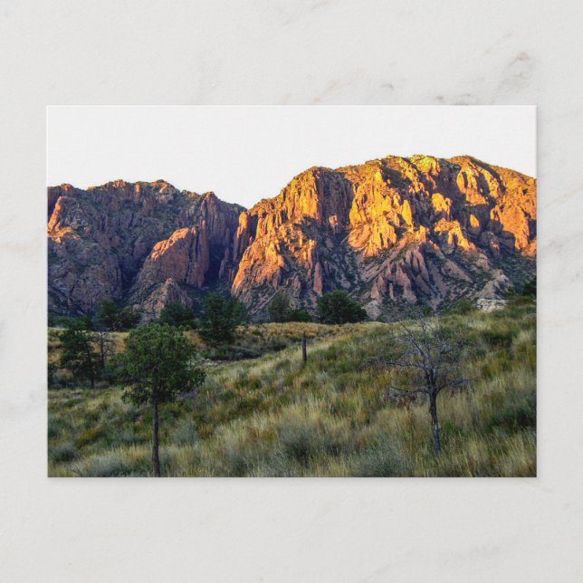 Pulliam Ridge, Big Bend National Park, Texas Vykort (Framsida)