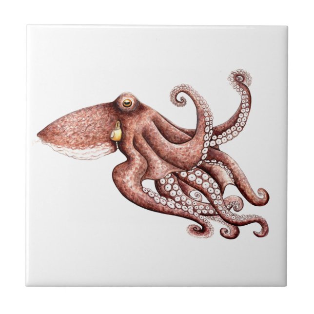 Pulpo - Octopus vulgaris Kakelplatta (Framsidan)