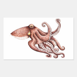Pulpo - Octopus vulgaris Rektangulärt Klistermärke