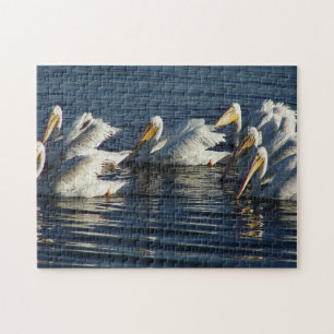 Pulver av vit pelikan Bird Wildlife Animal Swiming Pussel