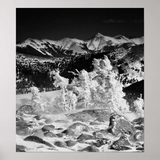 Pulver Jackar Poster (Framsidan)