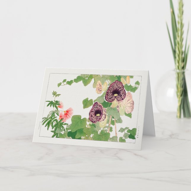 Pulver puff träd, Calico-blomman av Tanigami Konan Kort (Framsida)