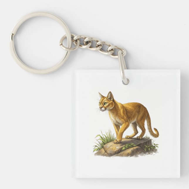 Puma (Framsidan)
