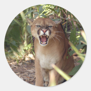Puma 001 runt klistermärke