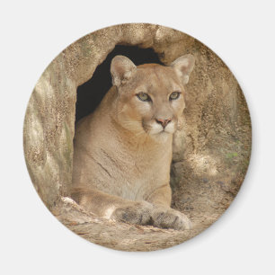 Puma 011 magnet