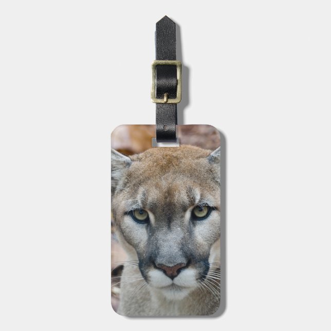 Puma, bergsljon, Florida panter, Puma Bagagebricka (Vertikal Framsida)