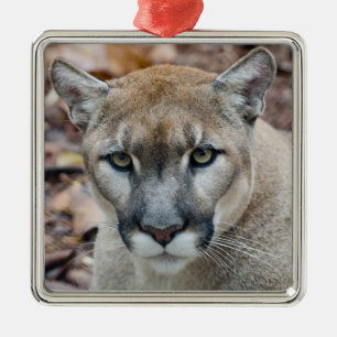 Puma, bergsljon, Florida panter, Puma Julgransprydnad Metall