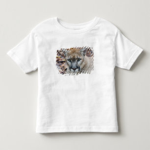 Puma, bergsljon, Florida panter, Puma Tee Shirt