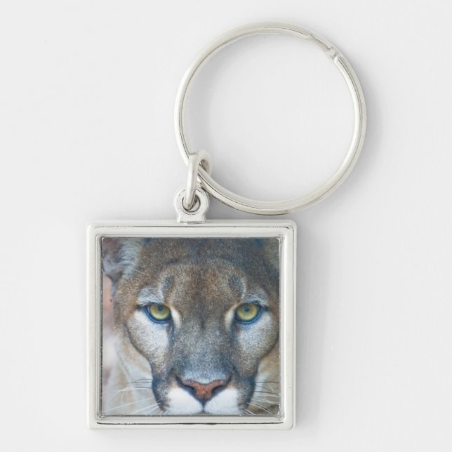 Puma, bergsljon, Floridapuma, Puma Fyrkantig Silverfärgad Nyckelring (Framsidan)