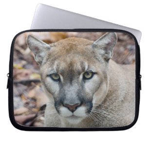 Puma, bergsljon, Floridapuma, Puma Laptop Fodral