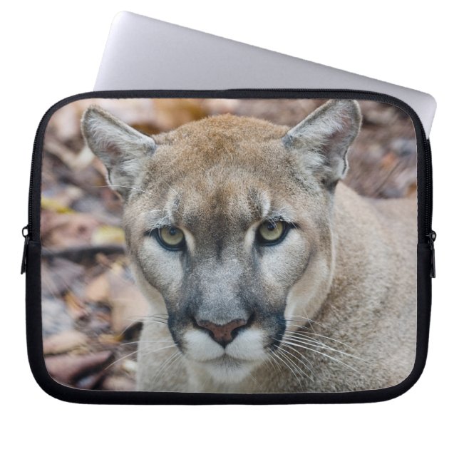 Puma, bergsljon, Floridapuma, Puma Laptop Fodral (Framsidan)