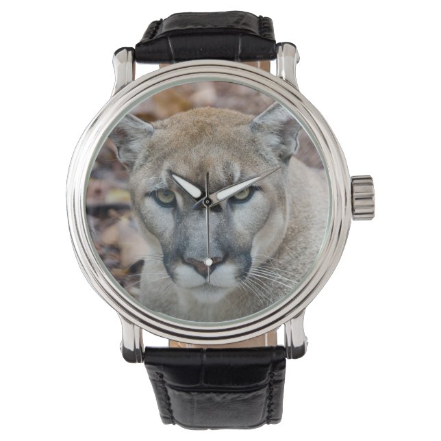 Puma, bergslon, Florida panter, Puma Armbandsur (Framsida)