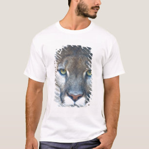 Puma, bergslon, Florida panter, Puma T-shirt