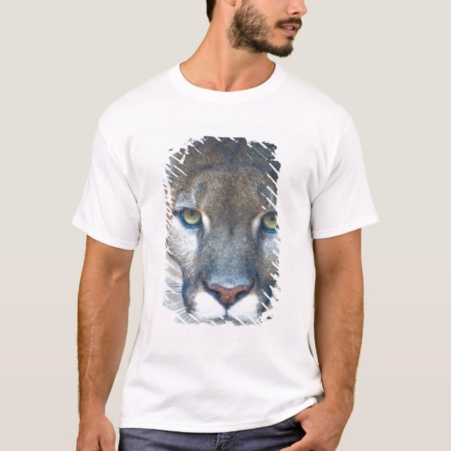 Puma, bergslon, Florida panter, Puma T-shirt (Framsida)
