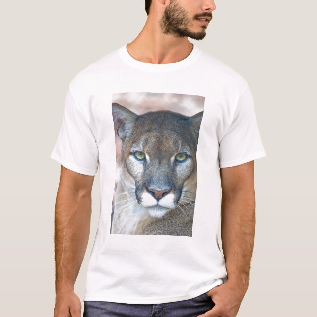 Puma, bergslon, Florida panter, Puma Tee (Framsida)