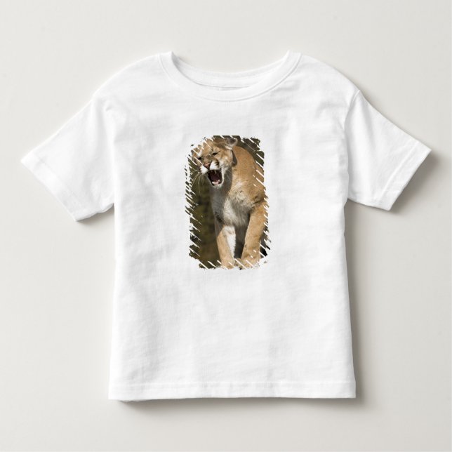 Puma eller bergsområde lejont, puma, aktivt - t shirt (Framsida)