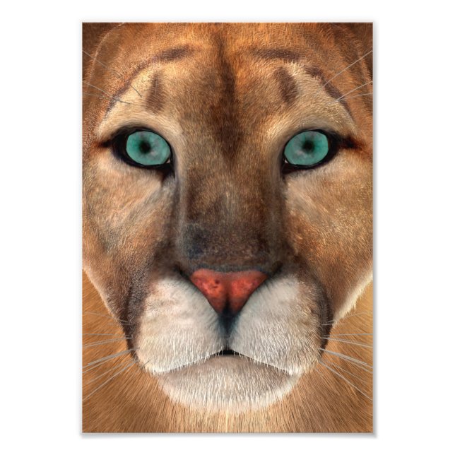 Puma Fototryck (Framsidan)