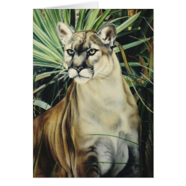 "Puma ", Hälsningskort (Framsidan)