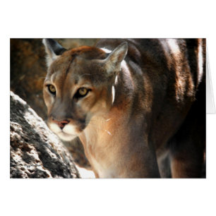 PUMA HÄLSNINGSKORT